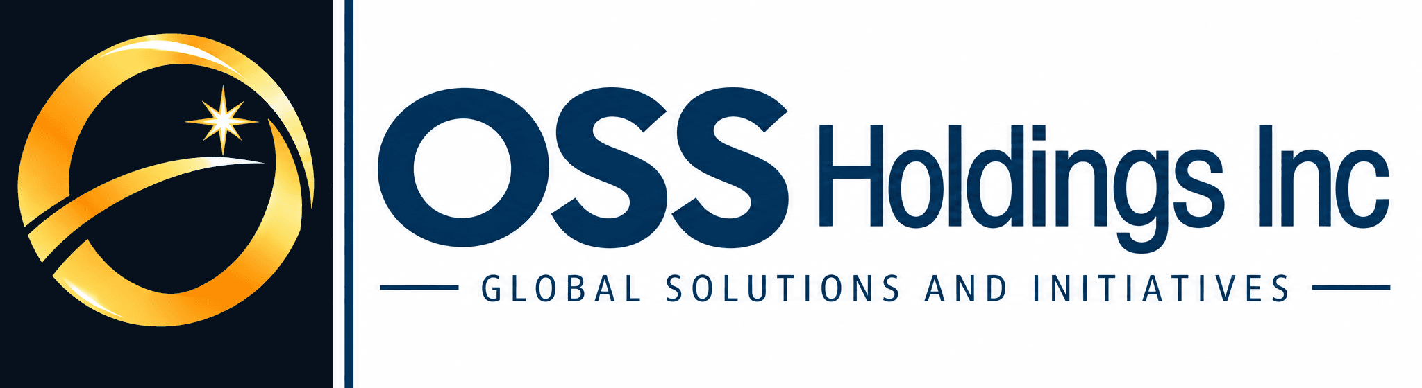 OSS Holdings